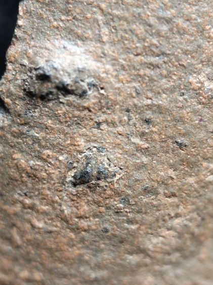 พระรอดลำพูนพิมพ์ใหญ่เนื้อเขียวหินครก รูปที่ 14