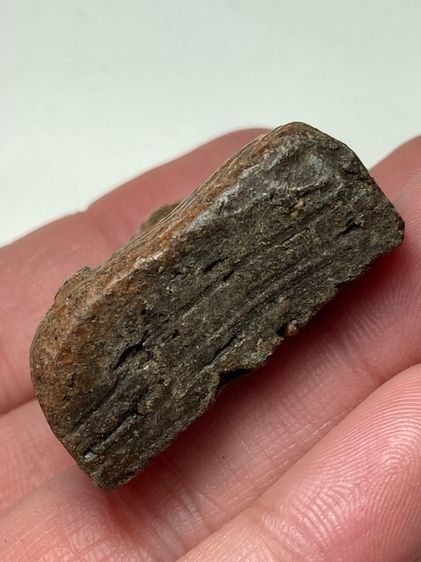 หลวงพ่อโตเนื้อดิน รูปที่ 5