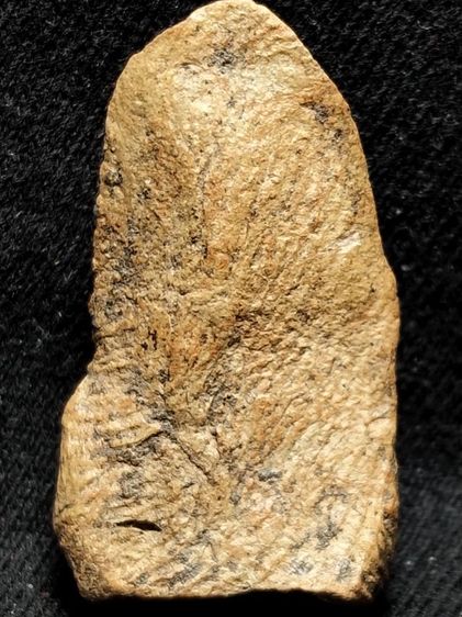 พระรอดลำพูนพิมพ์กลางครับ รูปที่ 5