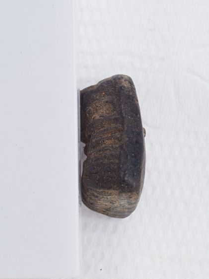 พระปิดตาเนื้อผง 20116804 รูปที่ 4