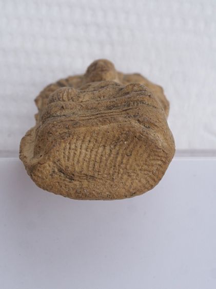 พระรอด 20116809 รูปที่ 3