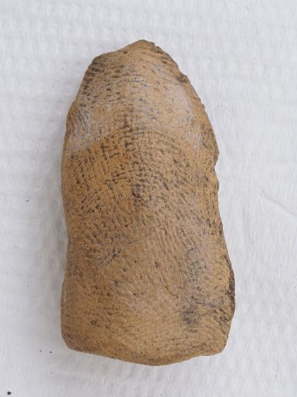 พระรอด 20116809 รูปที่ 2