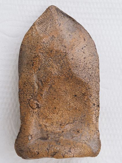 พระเนื้อดิน 20116815 รูปที่ 3