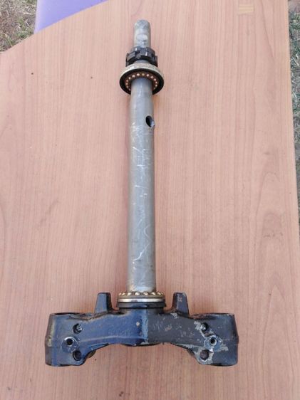 อื่นๆ แผงคอ​ฟีลา​โน่​และ​ฟ​ี​โอ​เล่​แท้​