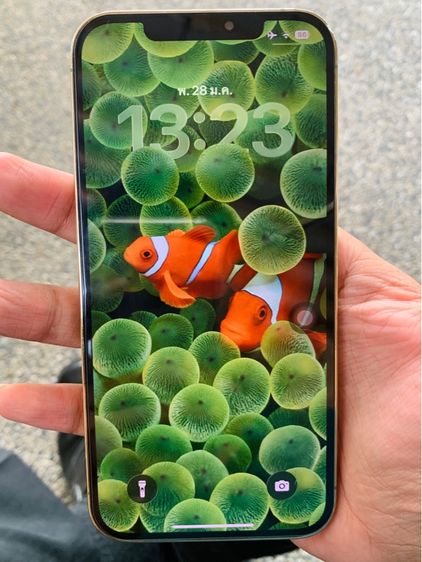 iPhone 12 Pro Max 128 GB รูปที่ 3