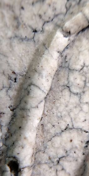 พระสมเด็จวัดระฆัง บางขุนพรหม เกศไชโย หลวงปู่ภู หลวงปู่นาค รูปที่ 6