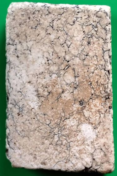 พระสมเด็จวัดระฆัง บางขุนพรหม เกศไชโย หลวงปู่ภู หลวงปู่นาค รูปที่ 3