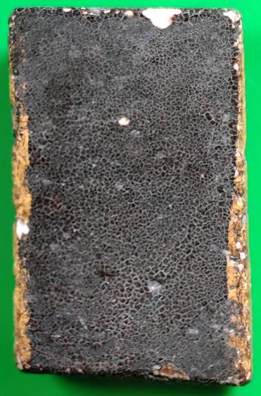 พระสมเด็จวัดระฆัง บางขุนพรหม เกศไชโย หลวงปู่ภู หลวงปู่นาค รูปที่ 14