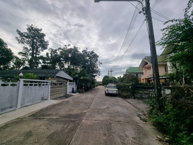 ใช่ ที่ดิน70ตรว. หมู่บ้านนริศรา ที่ดินคลอง11 รังสิตนครนายก รูปที่ 4