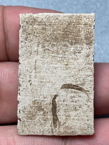 ในโพสมีพระเก่าหลายองค์ เลือกชมได้เลยจ้า รูปที่ 14