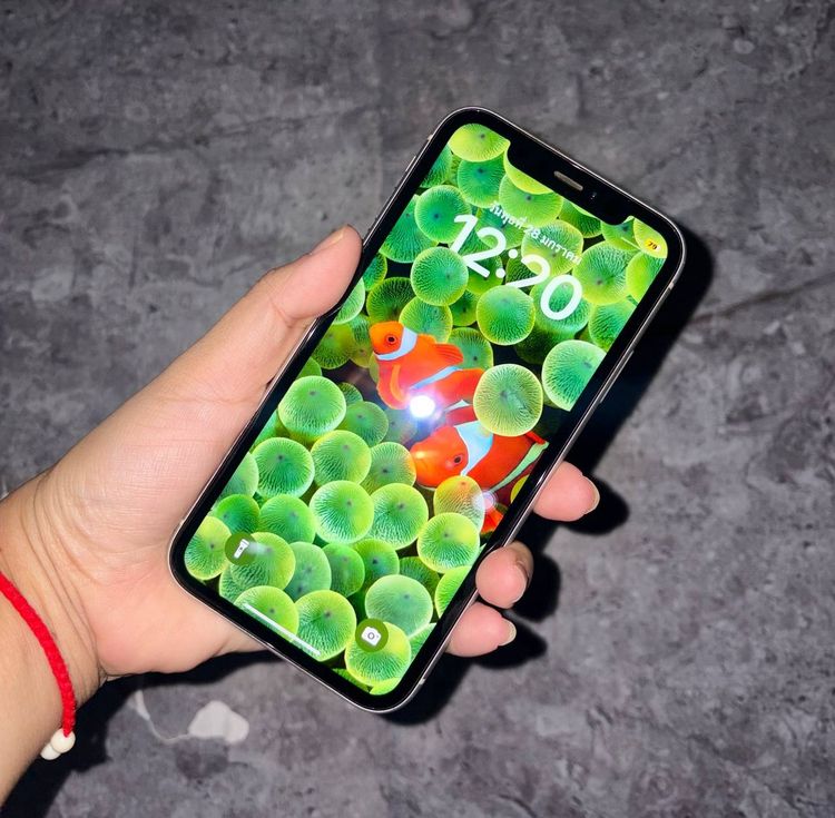 Iphone XR 64กิ๊ก ปกติทุกอย่าง