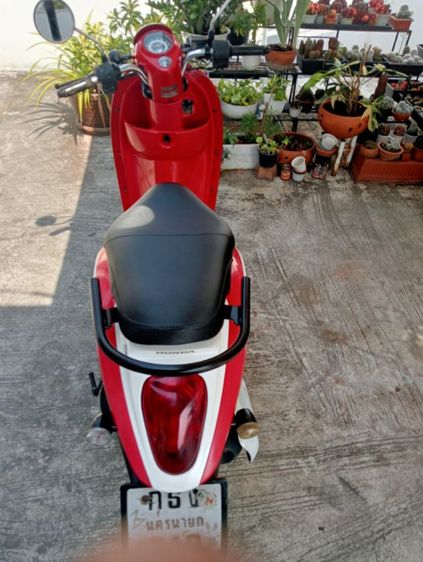 รถScoopyiหัวฉีดเดิมพร้อมใช้เล่มโอน รูปที่ 5