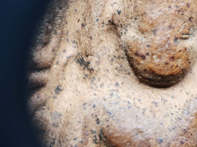 ราดำกระจายทั่วองค์ พระซุ้มกอเนื้อสวย รูปที่ 3