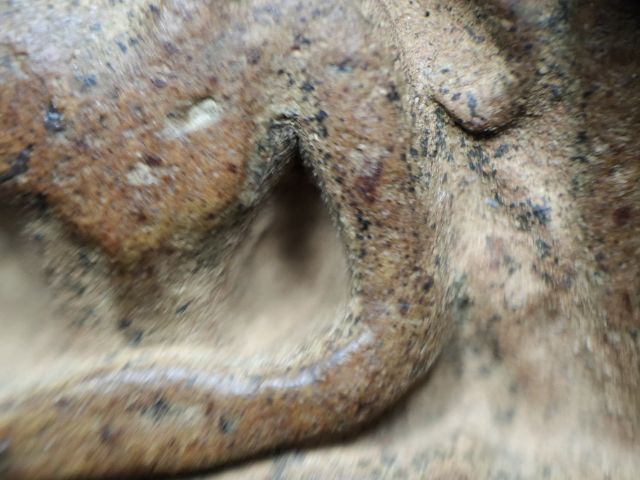 ราดำกระจายทั่วองค์ พระซุ้มกอเนื้อสวย รูปที่ 4