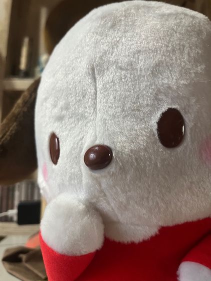 ตุ๊กตา pochacco sanrio มือ1 ป้ายห้อย รูปที่ 3