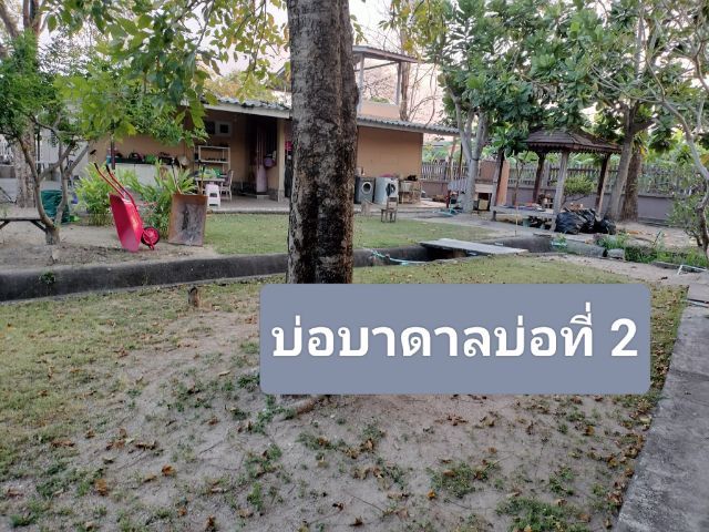 ใช่ ชลบุรีถนนสุขุมวิทซอยห้วยกะปิ 12 พื้นที่ทั้งหมด 3 ไร่ 48 ตารางวา มีโรงงานพร้อมบ้าน สวน ราคาเพียง 26 ล้านบาทเท่านั้น✅ แค่บ้านสวนก็คุ้มมากๆแล้ว รูปที่ 3