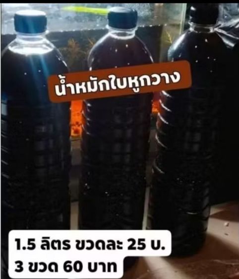 น้ำหมักใบหูกวาง ของแท้ สำหรับเลี้ยงปลา