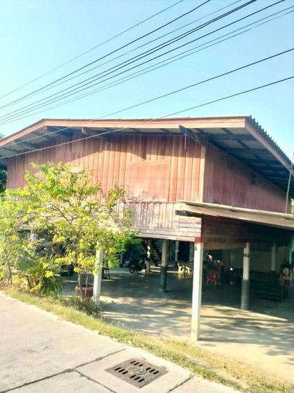 ใช่ ชลบุรีห้วยกะปิ14🚩ขายบ้านสวนร่มรื่น✅168ตรว.ถูกสุดในย่านนี้✅รีบใช้เงิน ✅เพียง2.8ล.เท่านั้น🤟ให้ทั้งบ้านและที่ดิน✅เจาะบาดาลไว้แล้ว✅ร่มรื่นในชุมชน รูปที่ 3