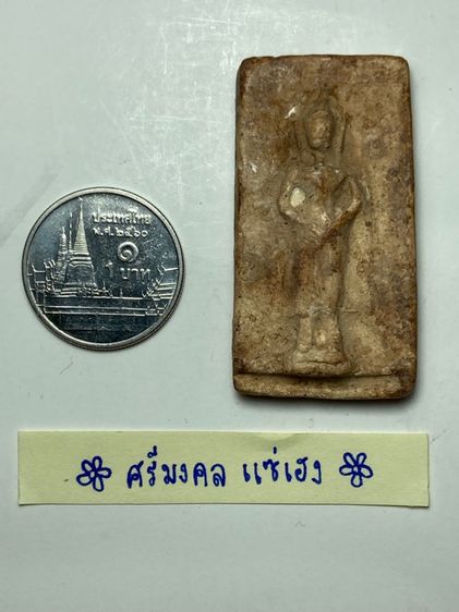 พระปางยืนเนื้อผง รูปที่ 5