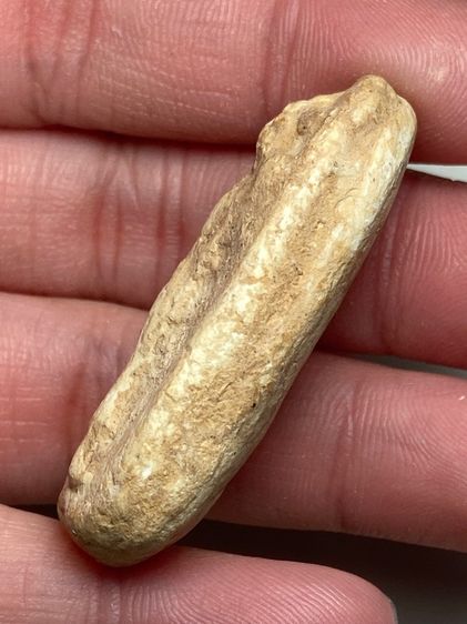 พระยืนถือดอกบัวเนื้อผง รูปที่ 4