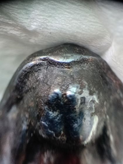 พระปิดตา หลวงปู่บุญ รูปที่ 8