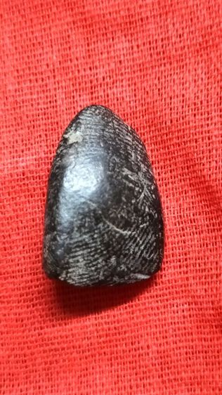 พระสังกัจจายน์หลวงพ่อกวย รูปที่ 4