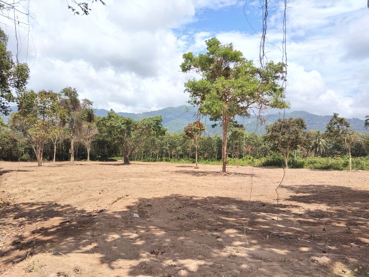 ที่ดิน เกาะสมุย 4 ไร่ รูปที่ 4