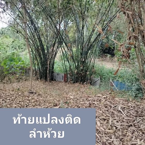 ใช่ 1ไร่พัทยาเพียง3.2ล.📌ใกล้สนามกอล์ฟคันทรี่ปาร์ค📌 รูปที่ 3