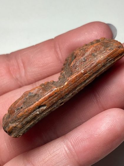 พระขุนแผนคู่เนื้อดิน รูปที่ 6