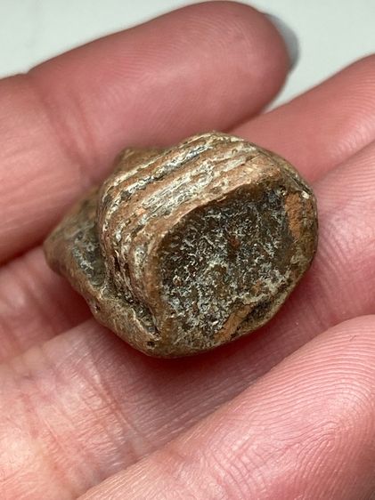 พระคงลำพูนเนื้อดิน รูปที่ 5