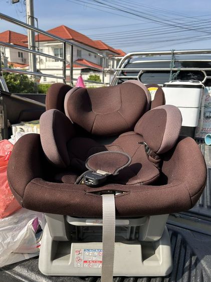 คาร์ชีด