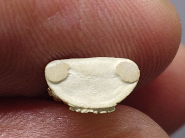 พระพุทธชินราช ลอยองค์ เนื้อเงิน รุ่น “รวมมหาบารมีอุดมทรัพย์” วัดบวรนิเวศวิหาร ปี2540 พร้อมการ์ดรับรอง และกล่องเดิม รูปที่ 6