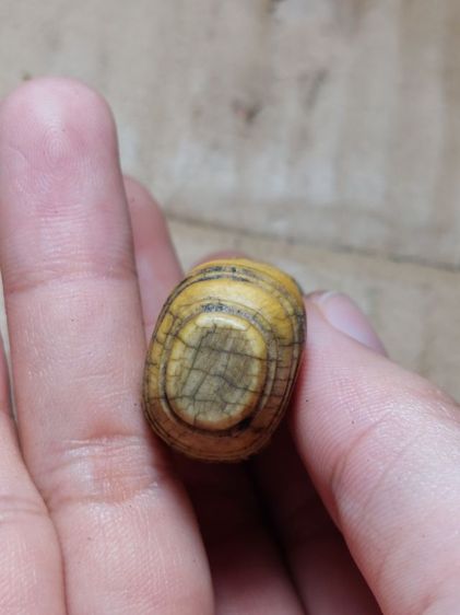 เครื่องรางม้าหมากรุกหลวงพ่อเงินวัดบางคลานใหญ่สวย รูปที่ 3