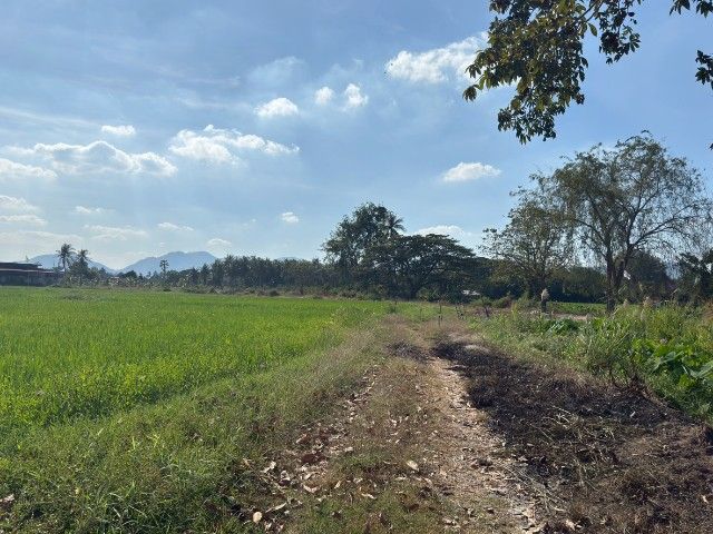 ใช่ ที่ดิน11.55 ไร่ ติดถนนบายพาสชะอำ รูปที่ 3