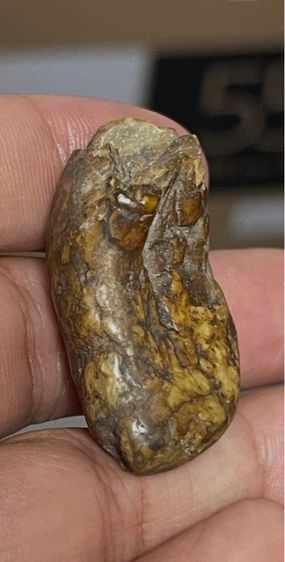 หมูตัน ของเก่าสะสม รูปที่ 3