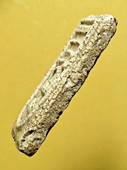 พระ​สมเด็จ​เก่า​(ผู้​มี​วาสนา​มา​นิมนต์​บูชา​ท่า​นแล้ว)​ รูปที่ 4