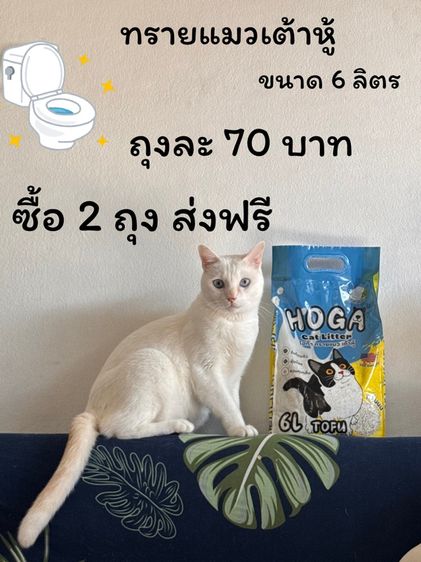 ทรายแมวเต้าหู้ 6 ลิตร