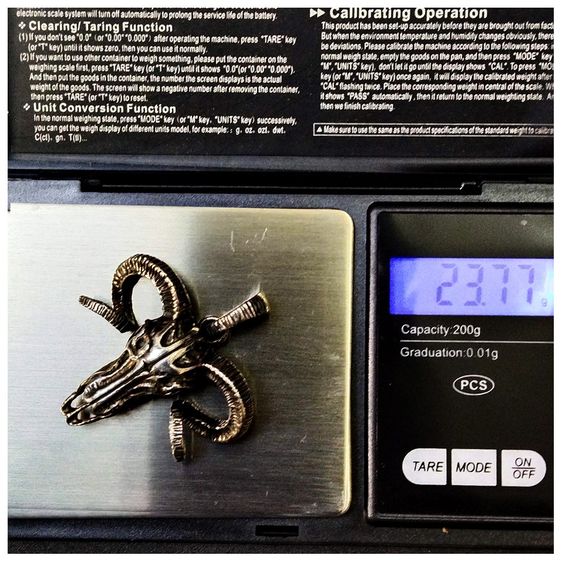 จี่เงิน Rocky Mountain goat  รูปที่ 9