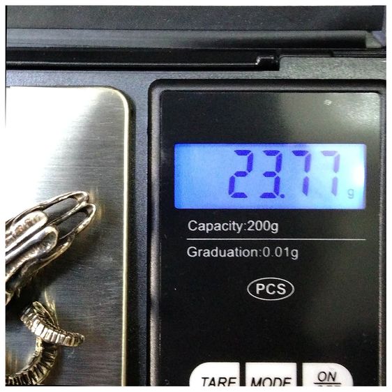 จี่เงิน Rocky Mountain goat  รูปที่ 8