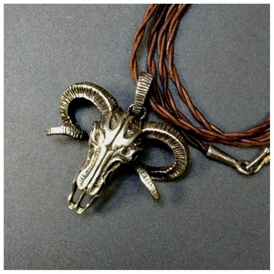 จี่เงิน Rocky Mountain goat  รูปที่ 2