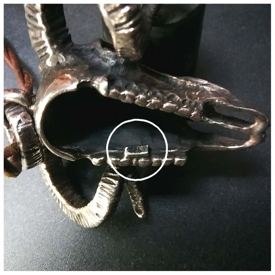 จี่เงิน Rocky Mountain goat  รูปที่ 6