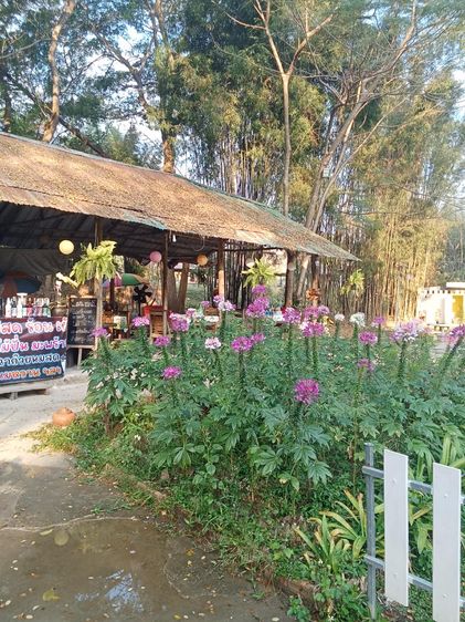 ให้เช่า.ร้านอาหาร