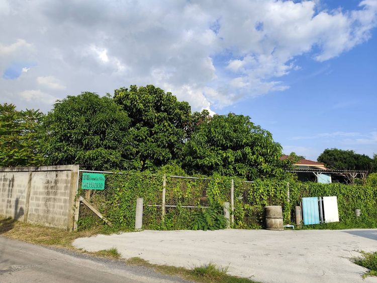 ขายบ้านและที่ดินสวน ใกล้แหล่งท่องเที่ยว ทำเลดีติดถนนสาธารณะ อ.เมือง จ.นครนายก รูปที่ 3