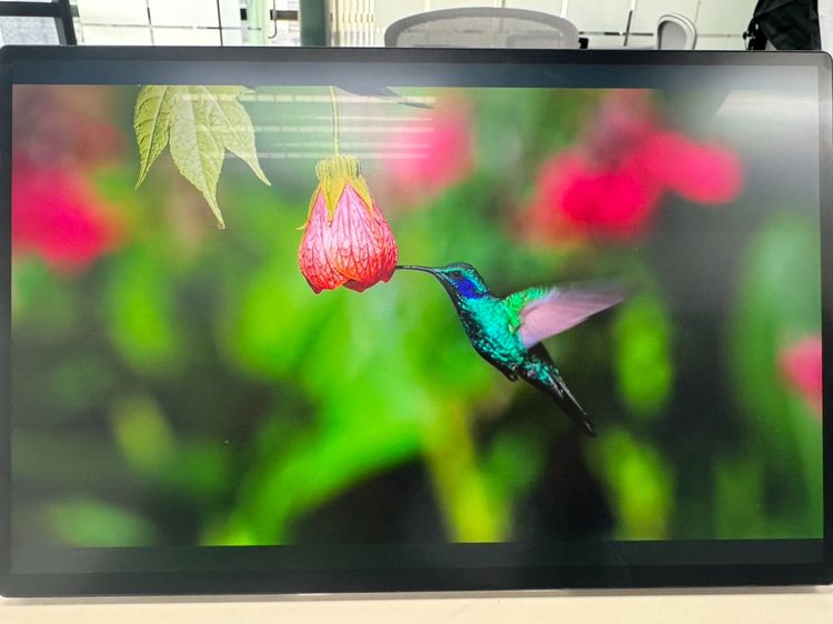 หน้าจอมอนิเตอร์ รุ่น Q16ZB  มีตำหนิ dead pixel 1 จุด แสงลอด รูปที่ 5