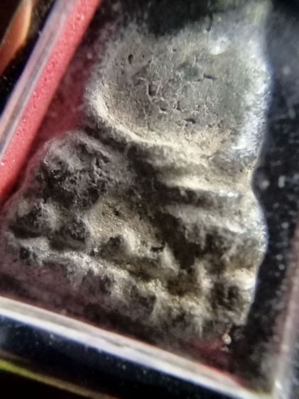 ปู่ทวดเนื้อว่าน รูปที่ 6