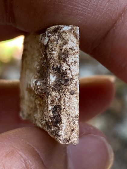 พระสมเด็จเก่า รูปที่ 8