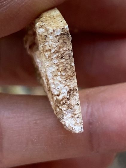 พระสมเด็จเก่า รูปที่ 7