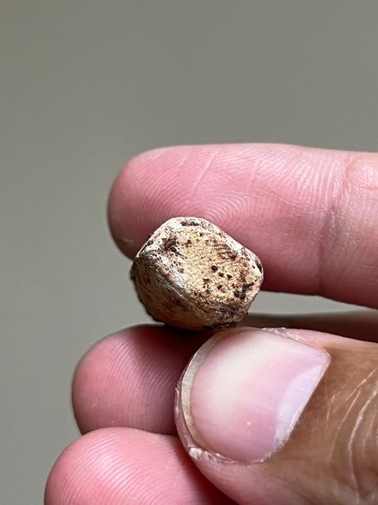 พระรอด รูปที่ 6