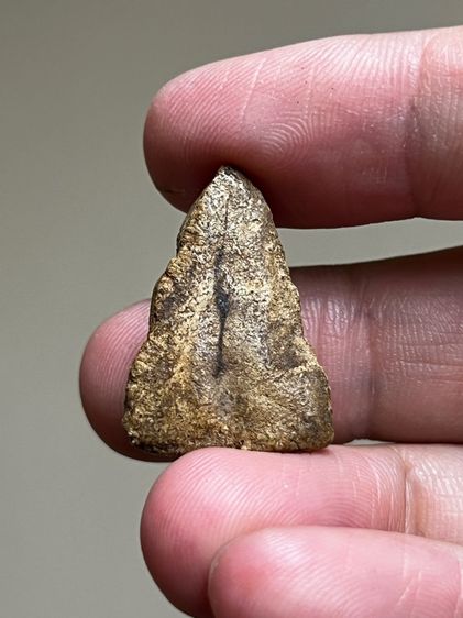 พระเนื้อผง รูปที่ 2