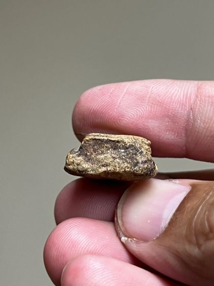 พระเนื้อผง รูปที่ 5